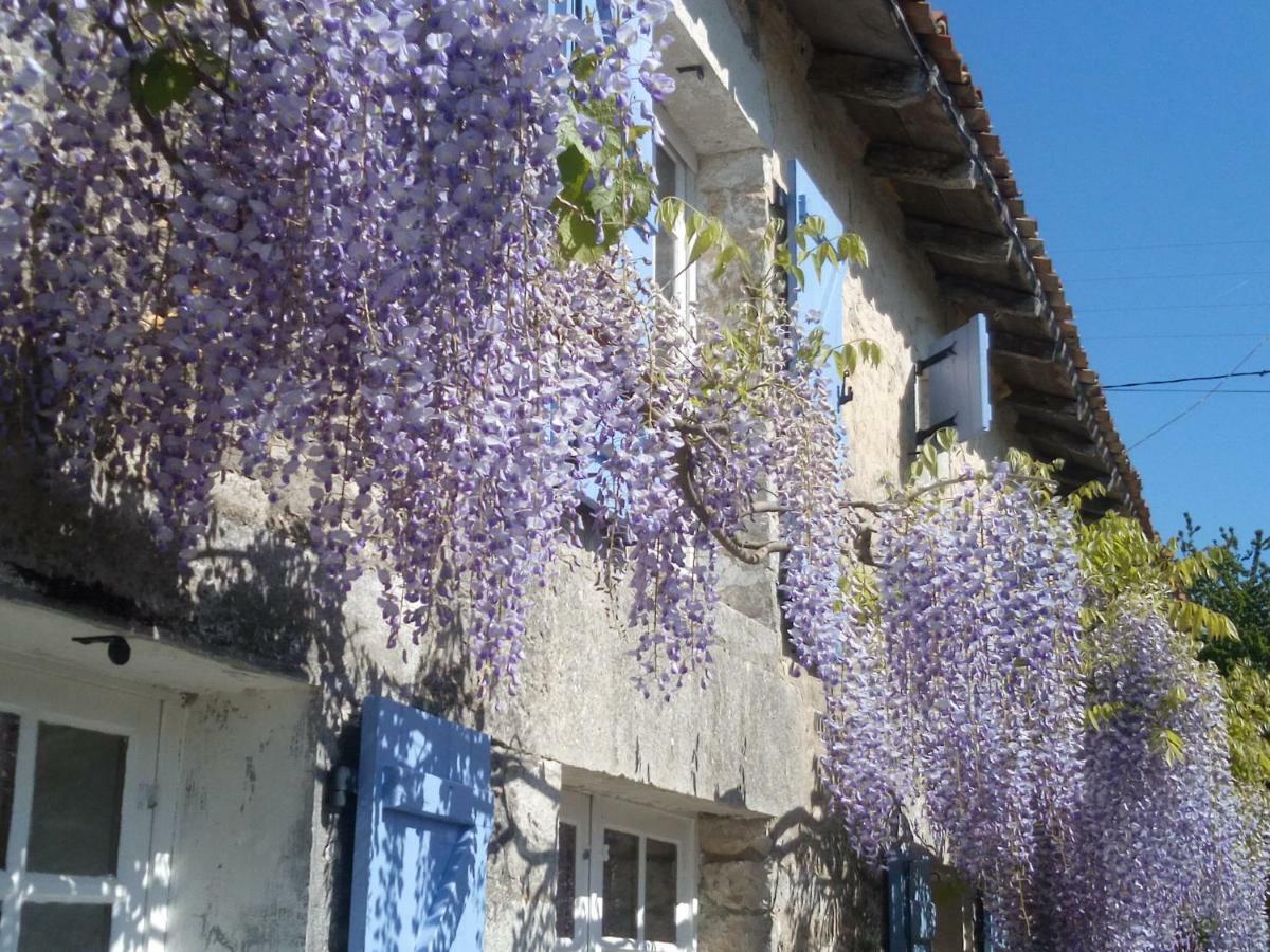 Chat Noir Gite Et Chambre D'Hotes Genouille  ภายนอก รูปภาพ